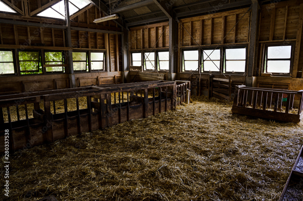 Fototapeta premium 牧場