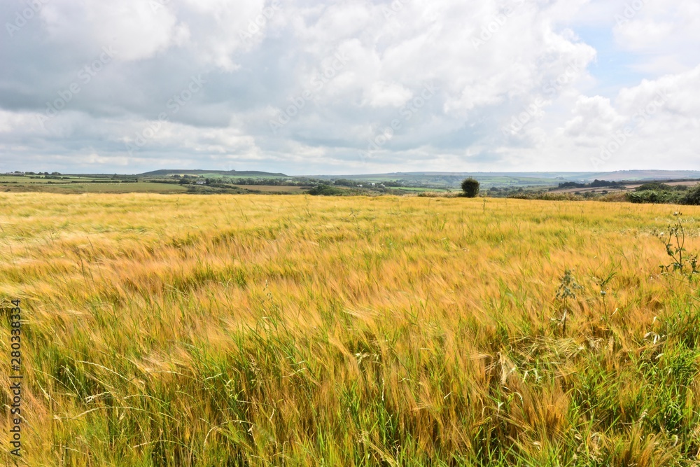 Summer Fields near Saint Nicholas, Pembrokeshire, Wales.