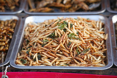 Thai Food. Fried Insect - Tak