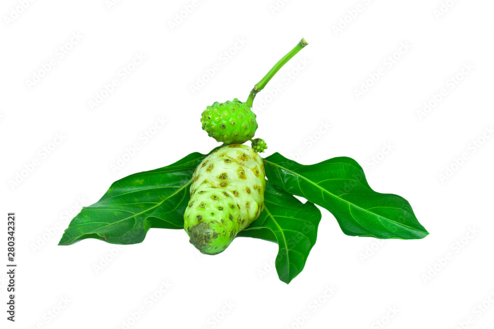 Noni isolated on white with clipping path
