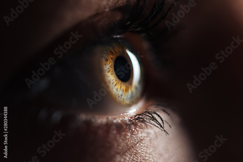 Quadro su tela close up view of human eye with eyelashes and eyebrow looking away in dark