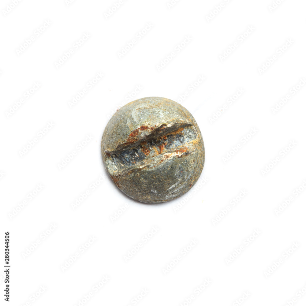 Screw heads, nuts, rivets isolated on white. Screw heads, nuts, rivets isolated on white.