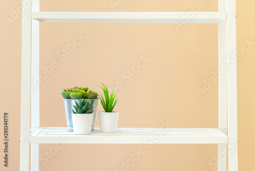 White bookshelf with plant in pot against beige background