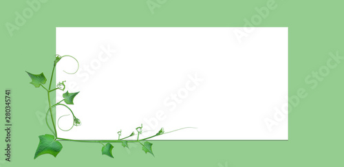 Fototapeta Naklejka Na Ścianę i Meble -  frame borders and creative layouts are made from twisted tropical leaves, isolated on white background, concept back to nature, save earth, including the cliping path 