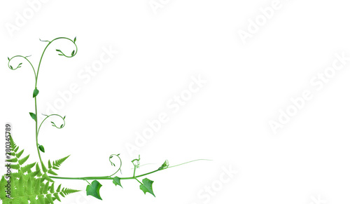 frame borders and creative layouts are made from twisted tropical leaves  isolated on white background  concept back to nature  save earth  including the cliping path 