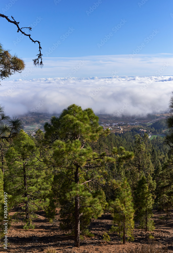 Obraz premium Taken from above the Clouds within the Tide National Park and looking down on the Coastal Lowlands of Tenerife in the Canary Islands.