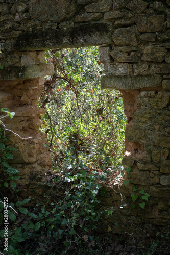 Fototapeta Naklejka Na Ścianę i Meble -  Mur troué d'une maison abandonnée