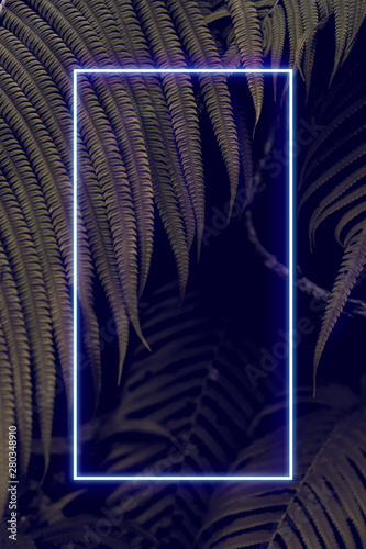 Background of brick walls and colorful neon lights. Silhouettes of tropical leaves, summer concept, free space for text