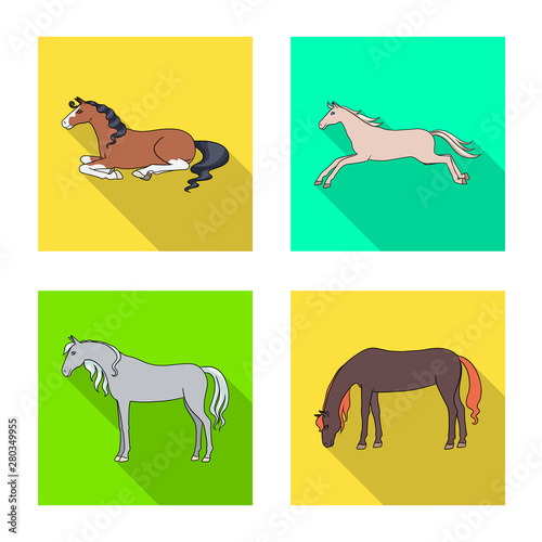 Vector illustration of breed and equestrian sign. Set of breed and mare stock vector illustration.