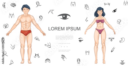 Cartoon Human Anatomy Concept