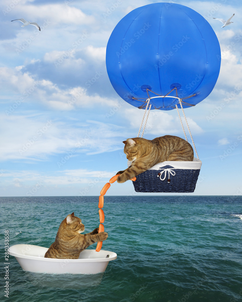 Φωτογραφία The cat rescuer in a blue hot air balloon is giving some sausages to another cat drifting in the bathtub in the sea after shipwreck