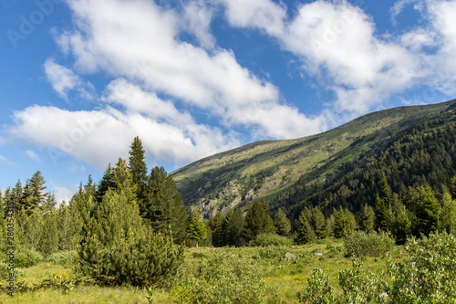 Trail for The Stinky from area of Tiha Rila, Rila mountain, Bulgaria