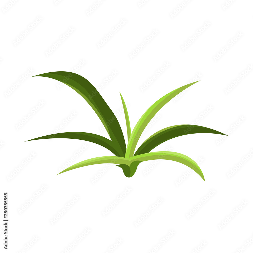 Vector illustration of bush and park symbol. Set of bush and green stock symbol for web. Vector illustration of bush and park symbol. Set of bush and green stock symbol for web.