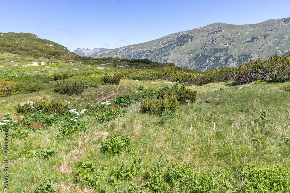Trail for The Stinky from area of Tiha Rila, Rila mountain, Bulgaria Trail for The Stinky from area of Tiha Rila, Rila mountain, Bulgaria