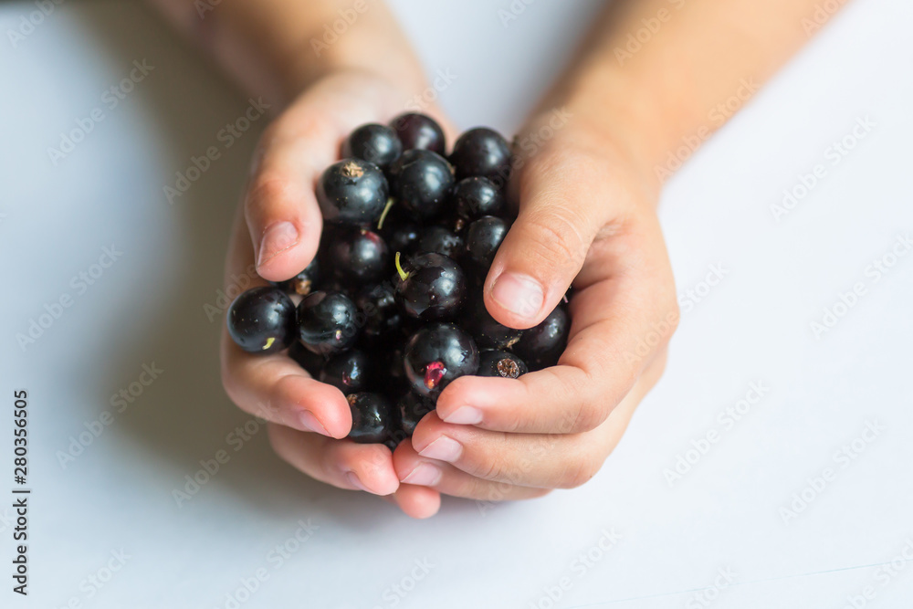 Fresh berries in hands. Blackcurrant. Fresh berries in hands. Blackcurrant.