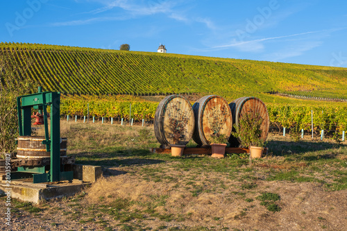 Alte Weinfässer und eine alte Weinpresse vor einem Weinberg im Rheingau