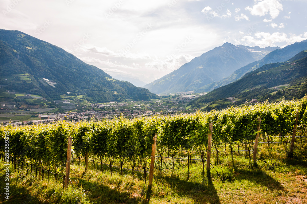 Dorf Tirol, Algund, Weinberge, Waalweg, Wanderweg, Dorf, Obstbäume, Vinschgau, Südtirol, Sommer, Italien