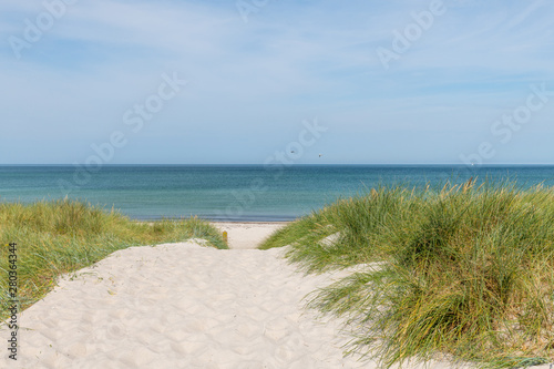 German Baltic Sea coast with sand dunes  grass  water and sky