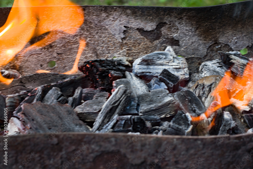 The fire in the fire on the background of nature. The fire in the fire on the background of nature.
