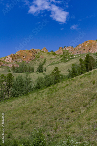 View of the mountain trees and slope with grass illuminated by the sun and blue sky.