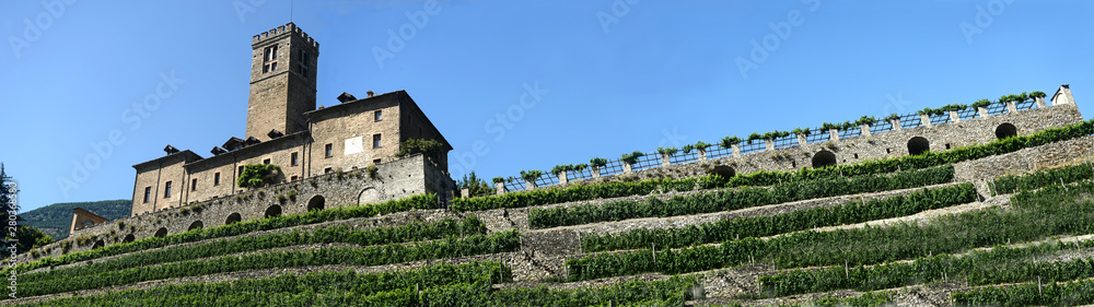 The castle of Sarre and its vineyard in Aosta Valley - Italy