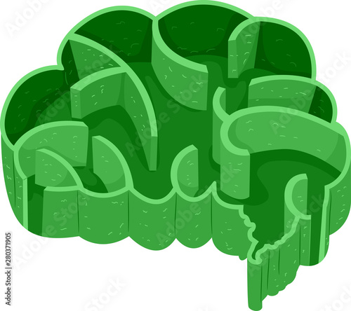 Brain Shape Labyrinth Illus...
