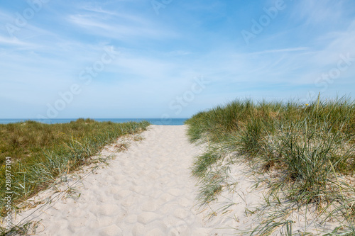 Fototapeta Naklejka Na Ścianę i Meble -  German Baltic Sea coast with sand dunes, grass, water and sky