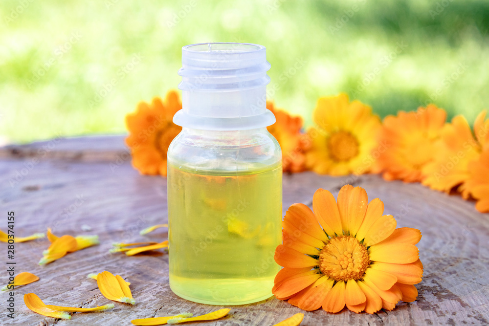calendula essential oil near the yellow flowers of calendula on a wooden background in nature. Extract of tincture of calendula. calendula essential oil near the yellow flowers of calendula on a wooden background in nature. Extract of tincture of calendula.