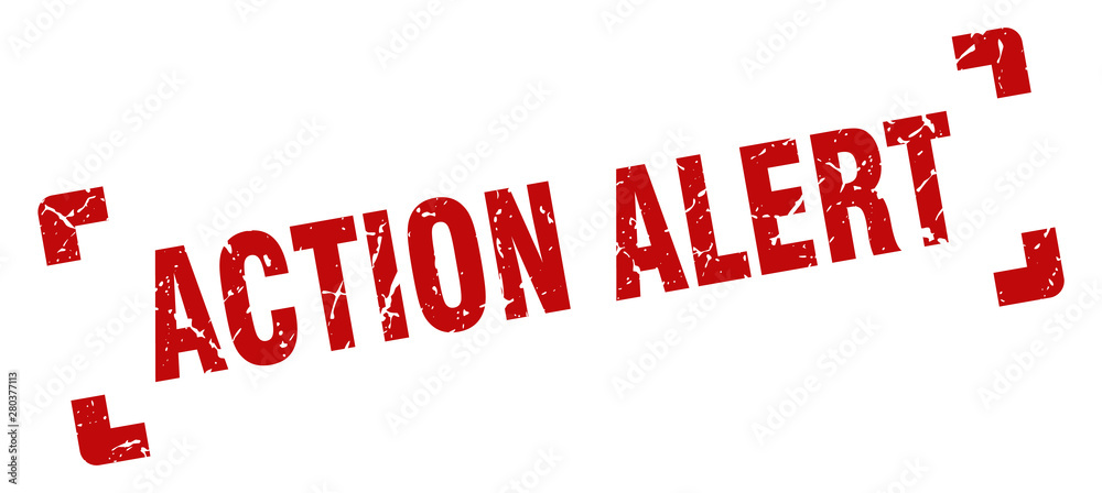 action alert stamp. action alert square grunge sign. action alert