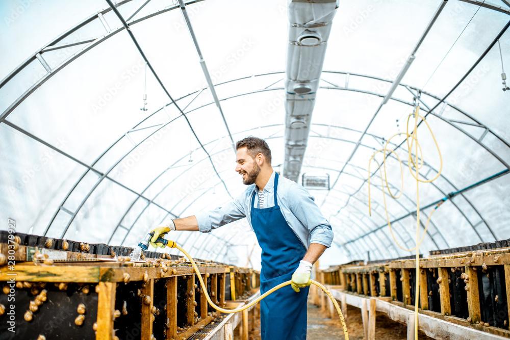 Handsome worker washing shelves with water gun, taking care of the snails in the hothouse of the farm, wide angle view with copy space