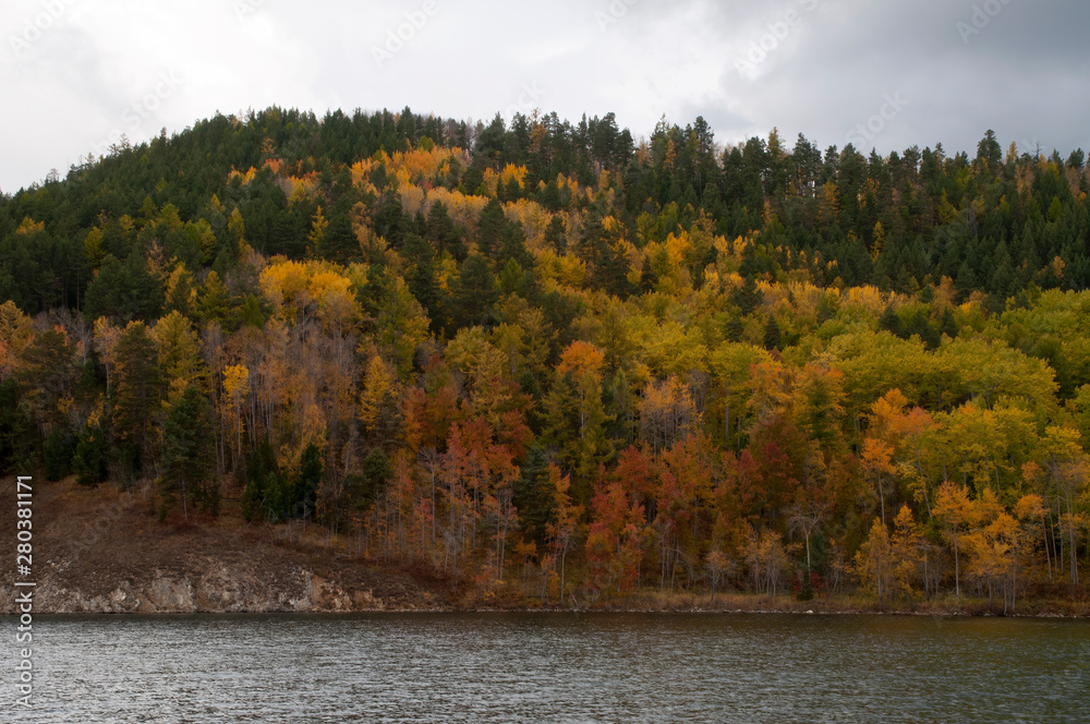 Lake Baikal Russia, autumn colors in woodland on the shores of chivyrkuysky bay Lake Baikal Russia, autumn colors in woodland on the shores of chivyrkuysky bay