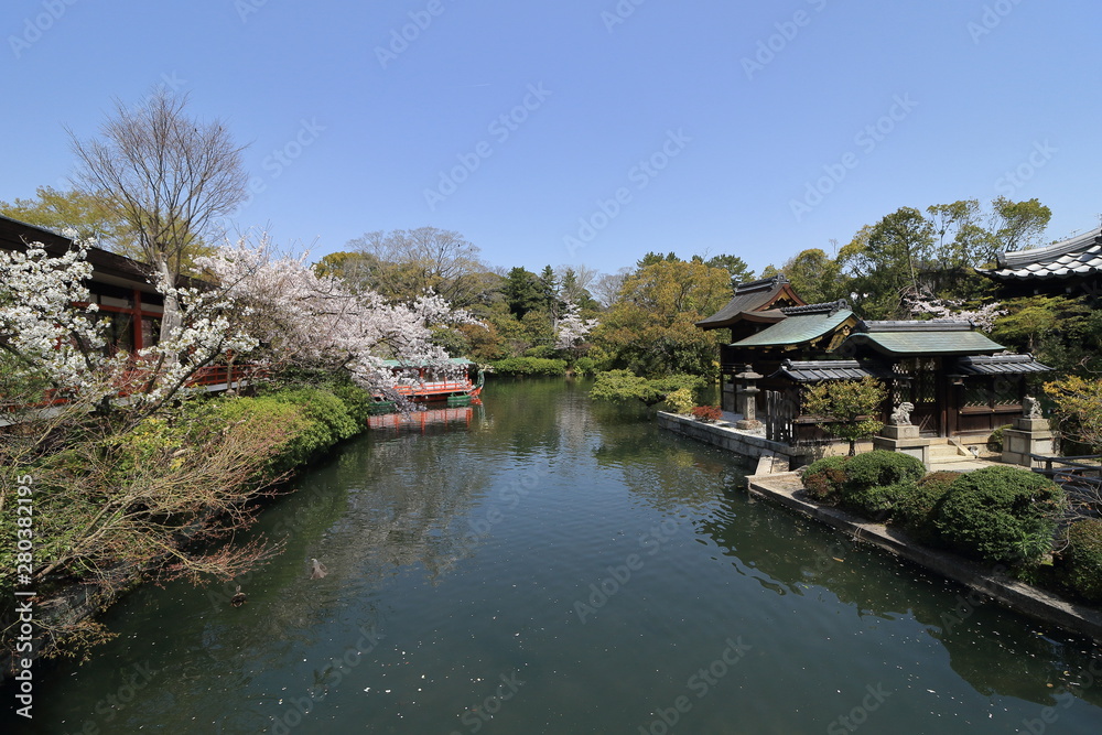 京都にある神泉苑の屋形船の竜王丸と桜です