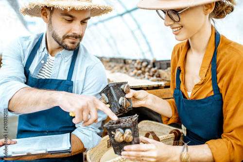 Two young beautifully dressed farmers examining snails growing process in the hothouse of the farm. Concept of farming snails for eating photo