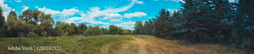 180 degree panorama of grass field in a forest