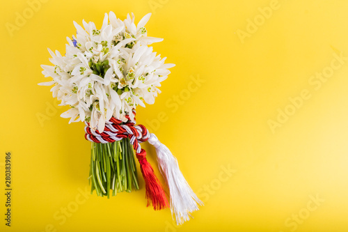 Spring time flowers like snowdrops, hyacinth and roses, isolated on yellow simple background, spring symbol and traditional romanian 