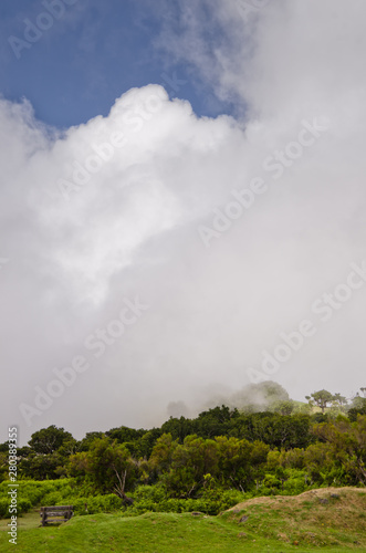 Nebelschwaden ziehen über eine Hochebene von Madeira und erzeugen eine geheimnisvolle Stimmung