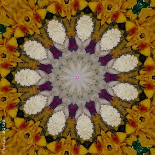 kaleidoscope background design in the shape of flowers
