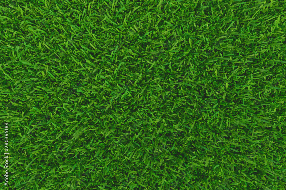 Green grass. background texture. fresh spring green grass. 3d rendering Green grass. background texture. fresh spring green grass. 3d rendering