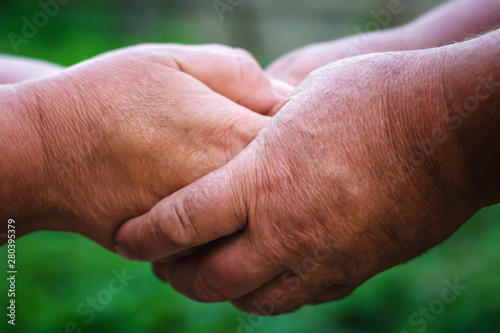 Two elderly people are holding hands. Hand in hand. © bogdana_severyn