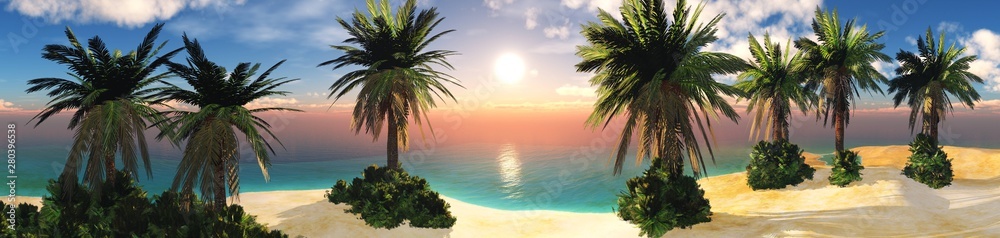 Panorama of the beach with palm trees at sunset, seashore at sunrise