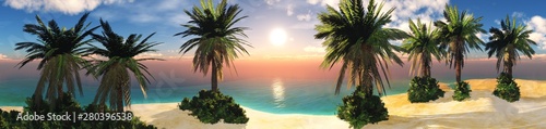 Panorama of the beach with palm trees at sunset  seashore at sunrise