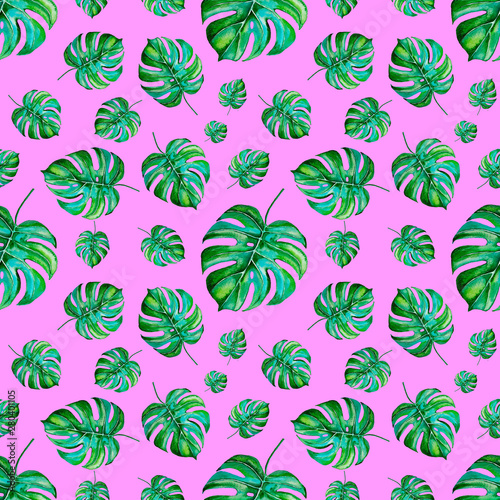 Watercolor seamless pattern with monstera leaves on pink background. Tropical leaves wrapping paper design. Hand painted illustration. 