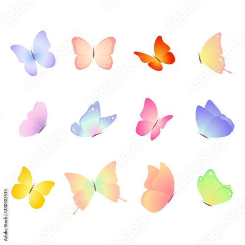 Butterfly Set