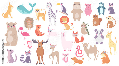 Photography cute woodland and tropical characters - bear, lion,  hedgehog, toucan, lynx, owl, flamingo, giraffe, monkey, panda, leopard, hippopotamus