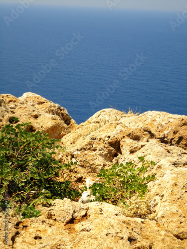 Photo rocky coaste blue sea water and sky in Greece