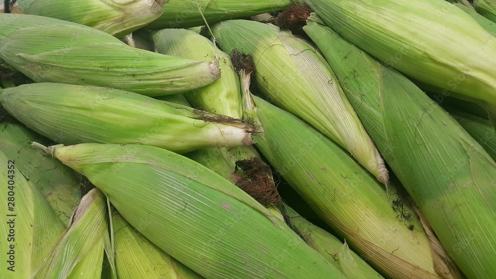 Closeup view of corncob surrounded with green leaves Closeup view of corncob surrounded with green leaves