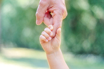 Grandfather and grandson holding hands. Little child hand holding big finger of his old father. Different generation family bonding. Love, care and trust concept.