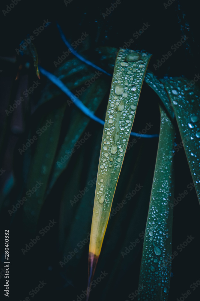 abstract background with lights