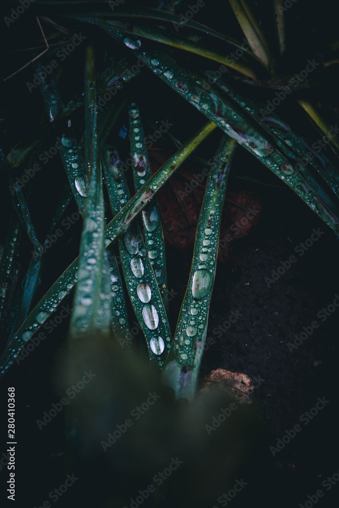 abstract background with lots of light spots
