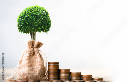 Coins in sack and small plant tree. Pension fund, 401K, Passive income. savings and making money. Investment and retirement. Business investment growth concept. Risk management.